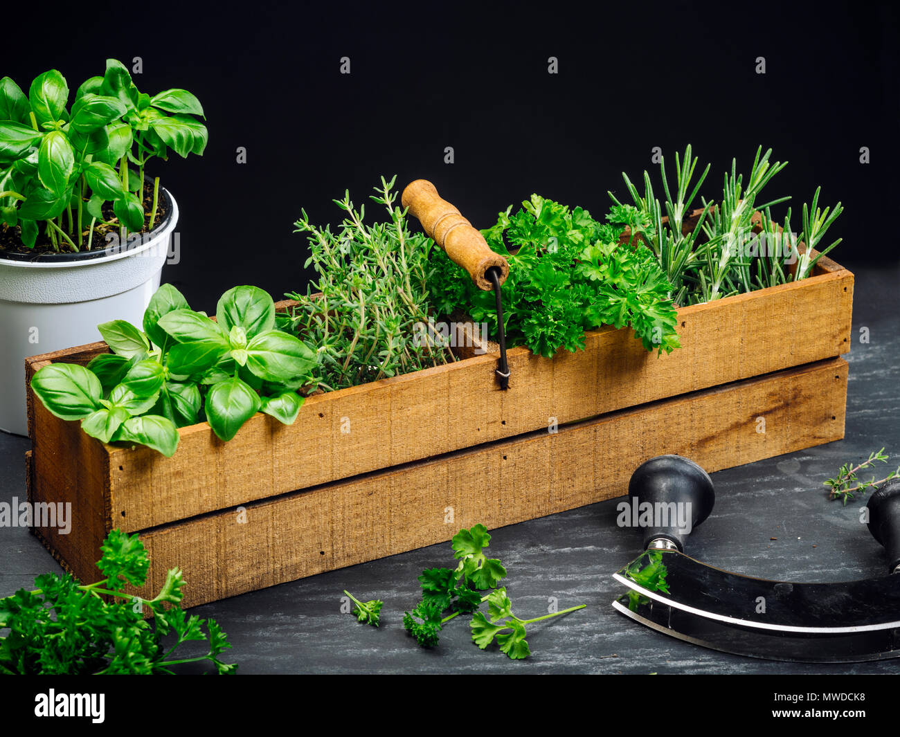 Foto di basilico, rosmarino, timo e prezzemolo in una vecchia scatola di legno su un tavolo. Foto Stock