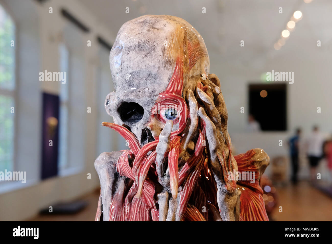 Il 31 maggio 2018, Germania, Lipsia: la scultura "Anatomischer Mann II' ('uomo anatomica I') da l'anno 2014 dell'artista olandese Carolein Smit appeso di Grassi museo di arti applicate. Il misterioso sculture di Carolein Smit vengono mostrati dal 02 giugno al 30 settembre presso lo spettacolo chiamato 'L' amour fou'. Foto: Sebastian Willnow/dpa-Zentralbild/ZB Foto Stock