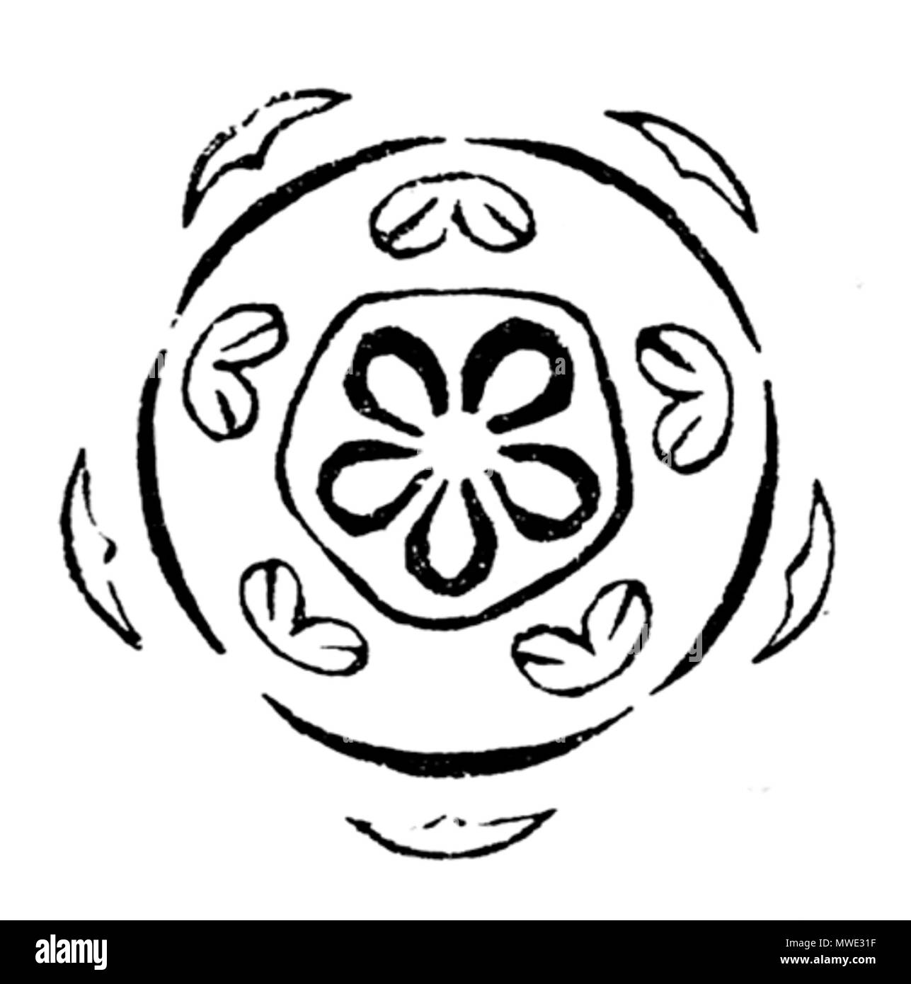 . Schema di un fiore di Hedera helix (Araliaceae) . scansione 11 Giugno 2006. de:Benutzer:Griensteidl 269 Hedera helix flowerdiagram Foto Stock