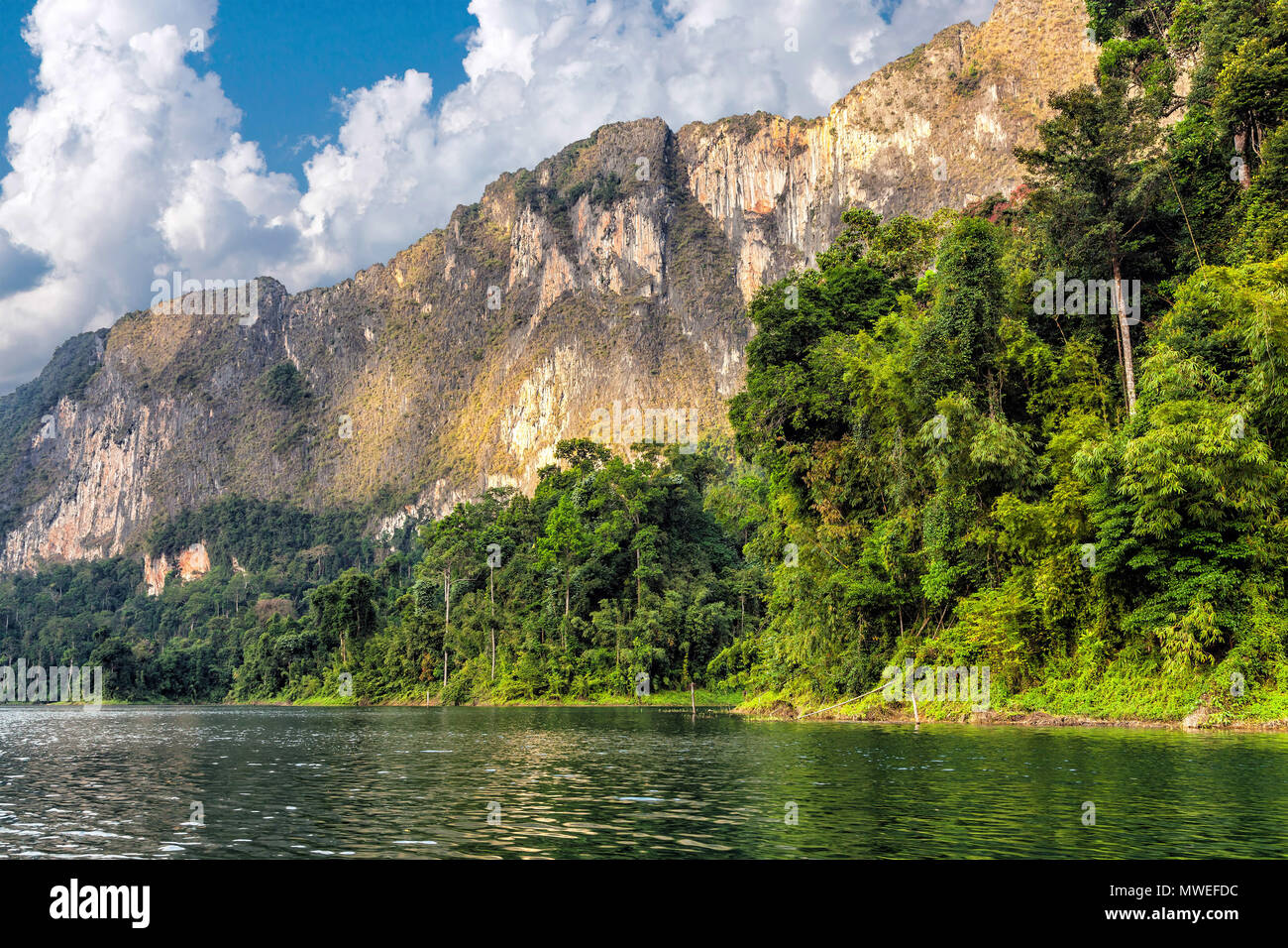 Lan Cheo Lago in Khao Sok National Park in Thailandia Foto Stock