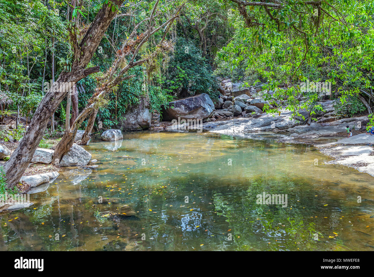 La natura tropicale dell'isola di Koh Samui. Foto Stock