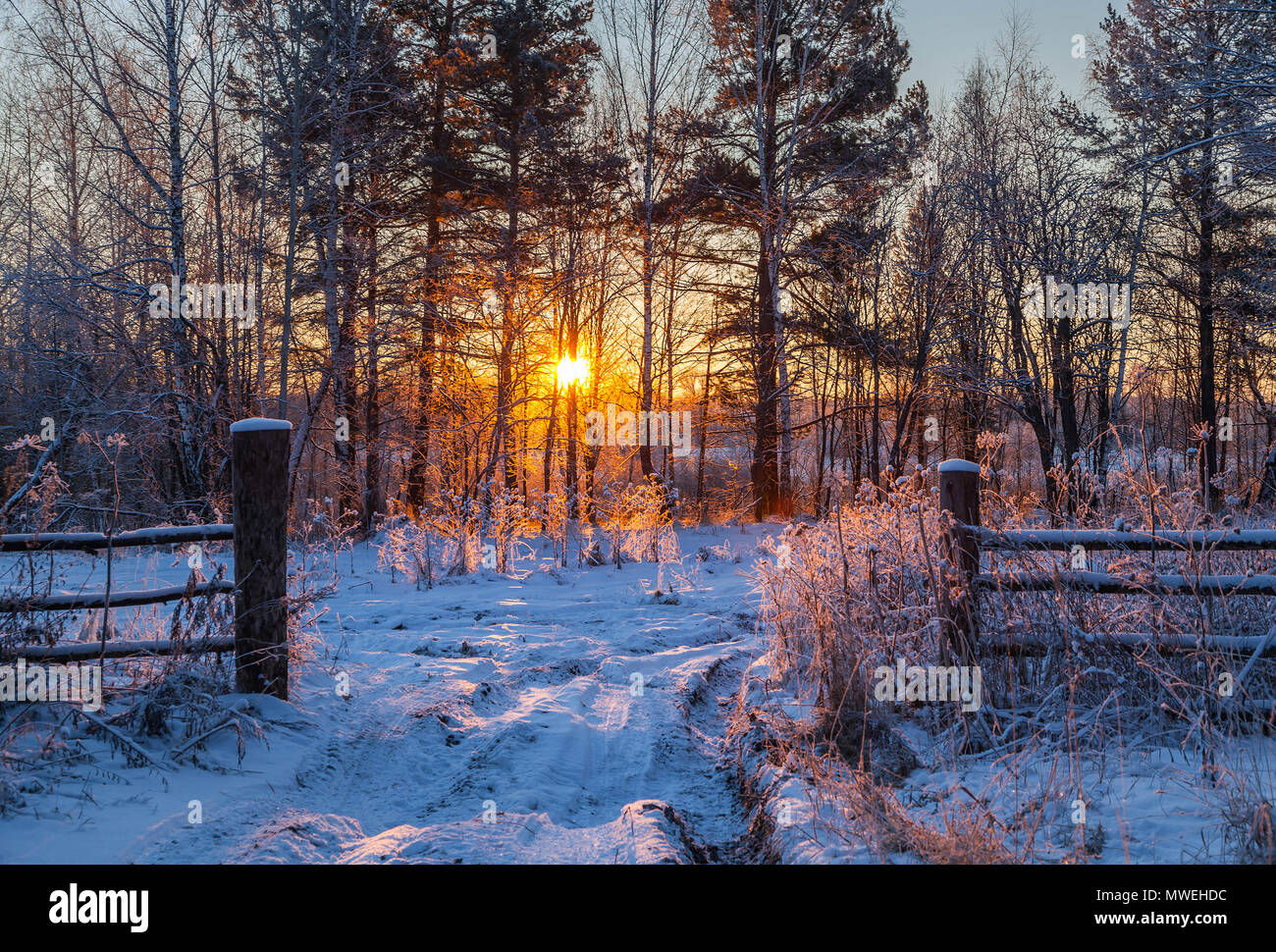 Inverno sunrise in Siberia. Foto Stock