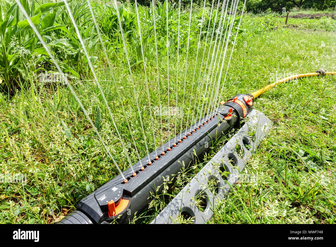 Irrigatore ad acqua che irriga un irrigatore per prato da giardino Foto Stock