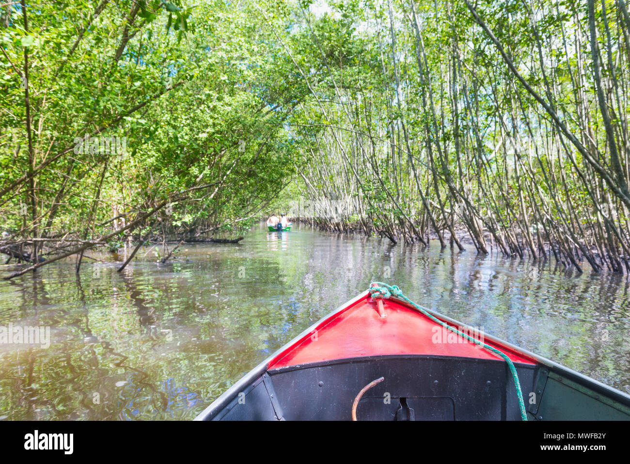 Itacare, Brasile - 9 Dicembre 2016: canoa attraversando una mangrovia canal sotto un tunnel di alberi Foto Stock