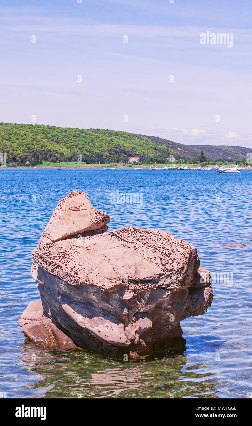 Geological rock formazione in mare appare come una tartaruga. Foto Stock