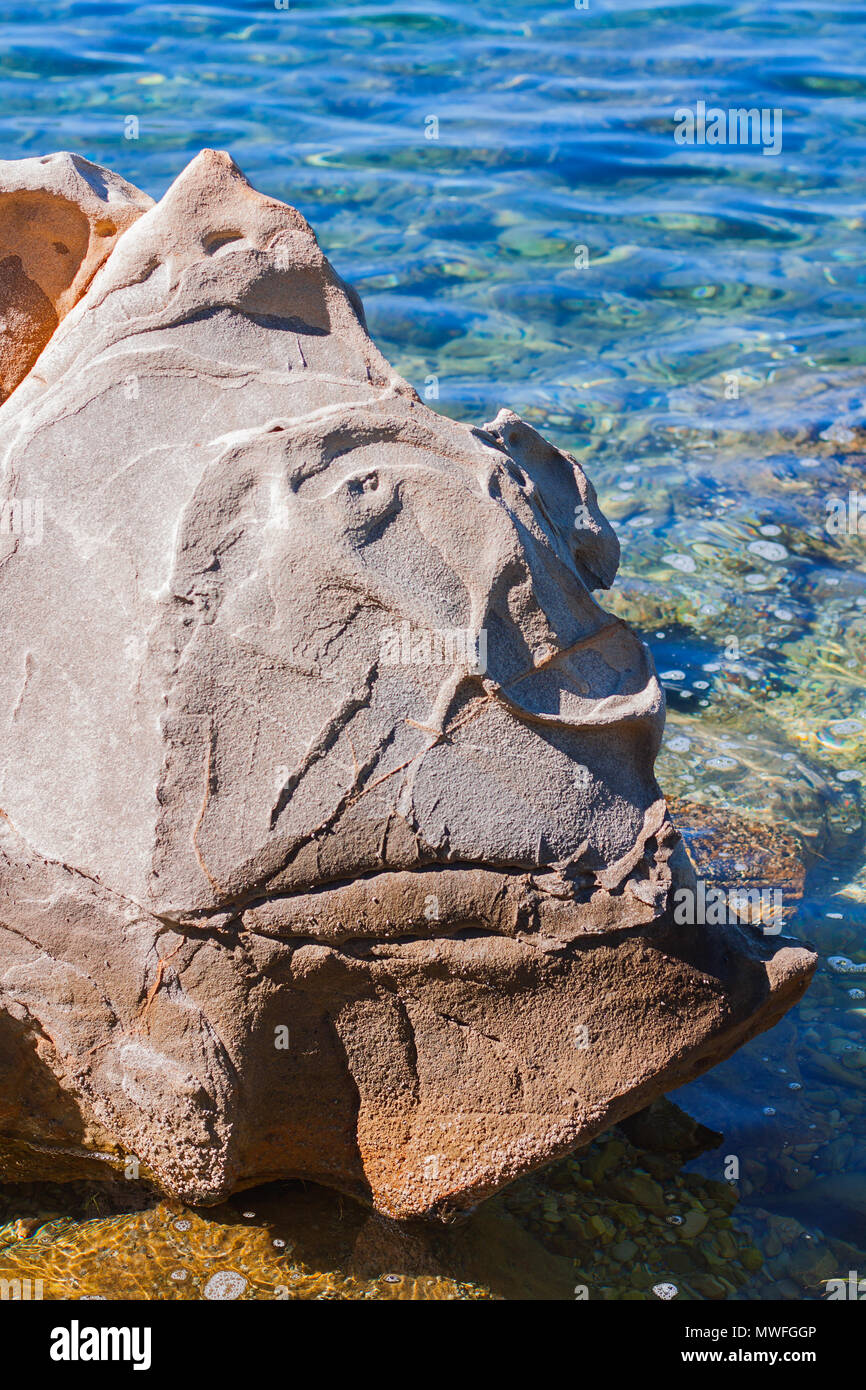 Prominente geologico formazione di roccia in mare assomiglia ad una faccia di un animale in isola di Rab, Croazia. Foto Stock