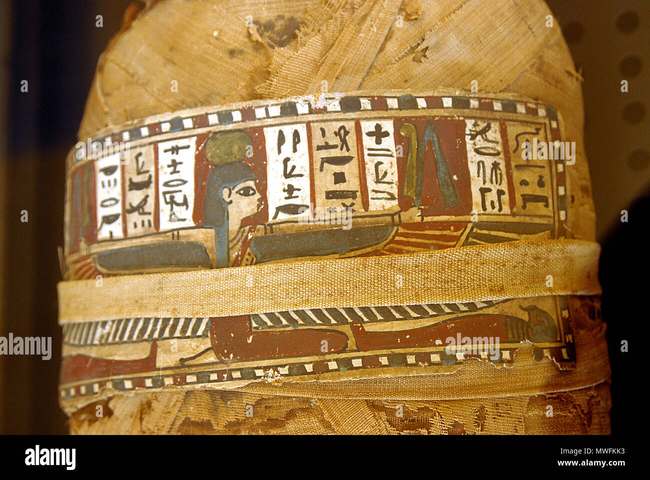 435 Mòmia Nesi - BMVB - 2964 3 Foto Stock