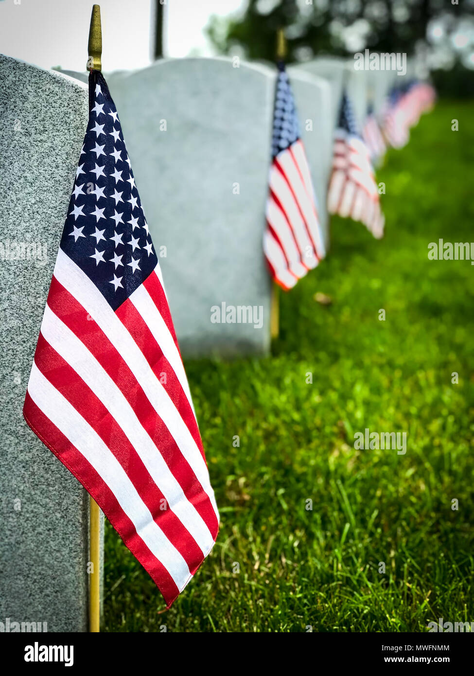 Tombe decorate di noi servizio militare i membri al cimitero di Virginia. Foto Stock