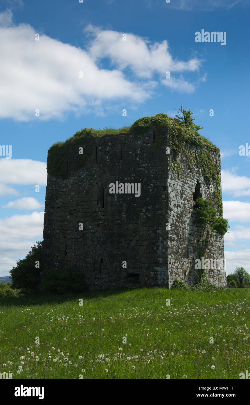 Il castello di Ballymaquiff Foto Stock