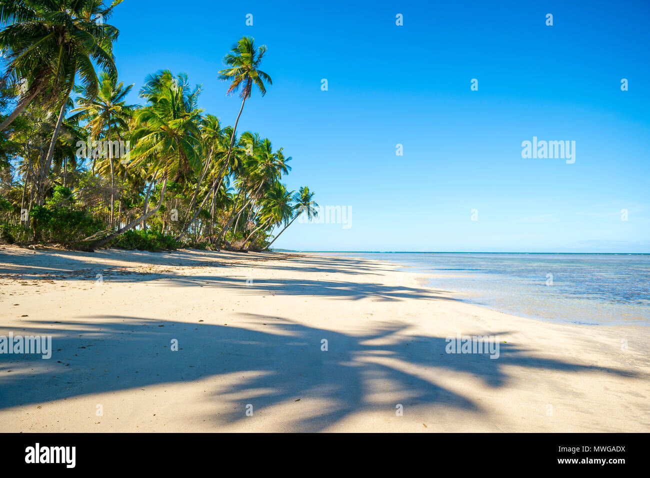 Vista panoramica di una remota spiaggia brasiliana con ombre di palme cadere sulla riva a Bahia, Brasile Foto Stock