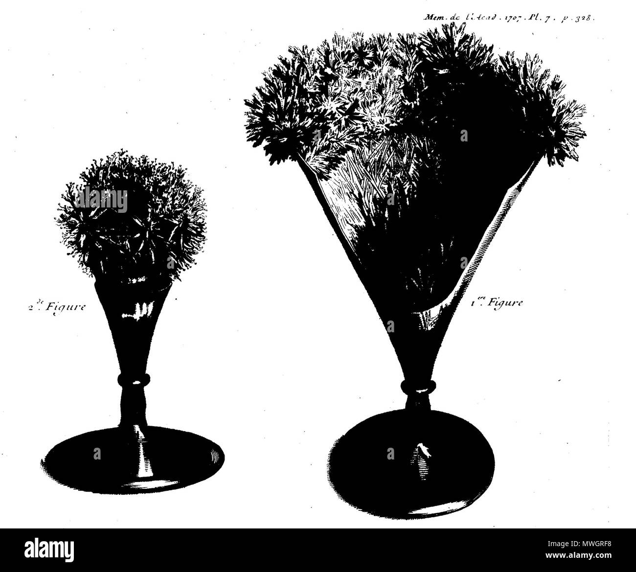 383 Lémery-Académie-des-scienze-1707 Foto Stock