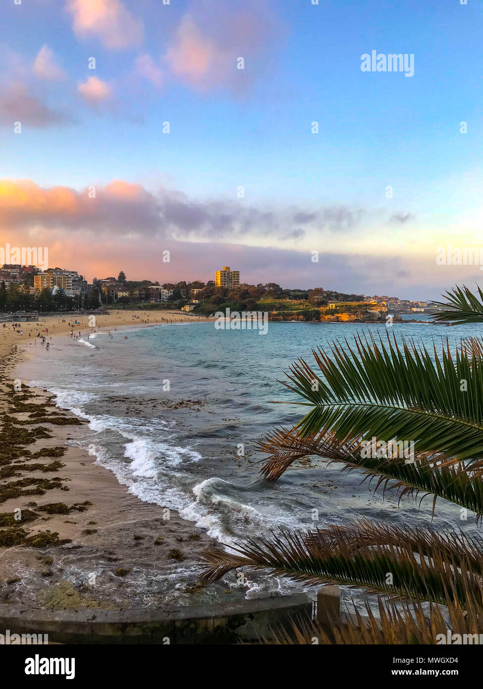 Coogee Beach in ora d'oro Foto Stock