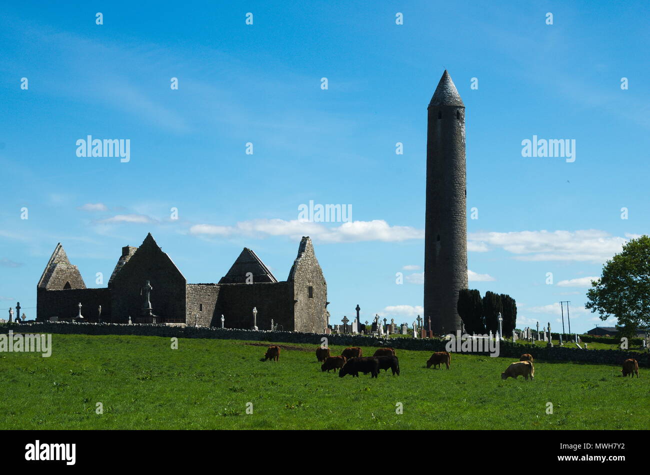 Kilmacduagh Abbey Foto Stock