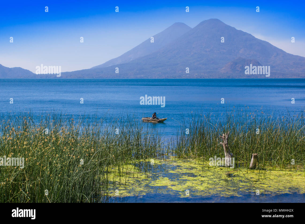 Veduta esterna di totora acquatica di piante al bordo del lago, con il pescatore non identificato in un piccolo barche nel lago Atitlan, con San Pedro vulcano in background Foto Stock