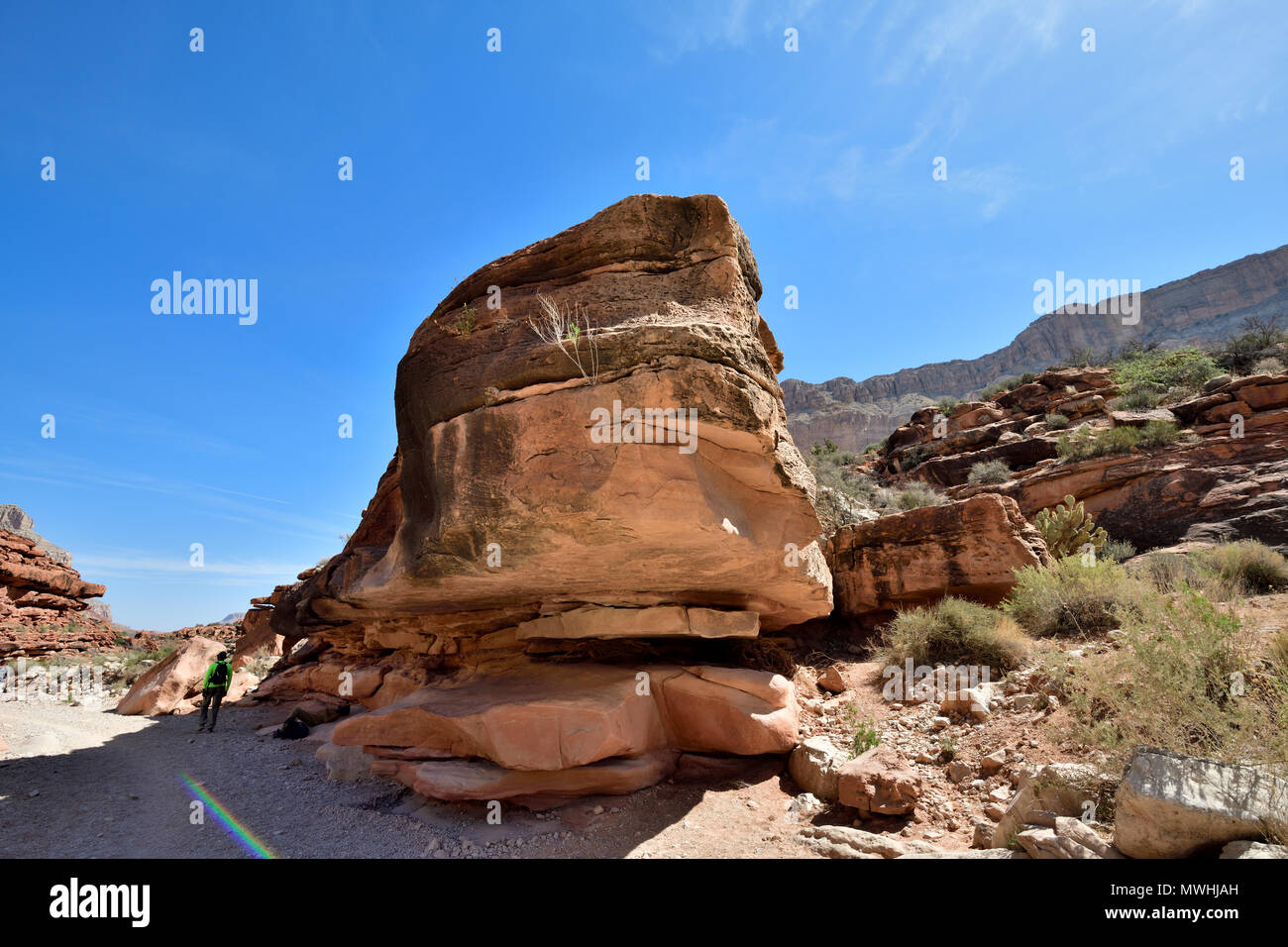 Havasu Falls Trail da Hualapai Hilltop Foto Stock