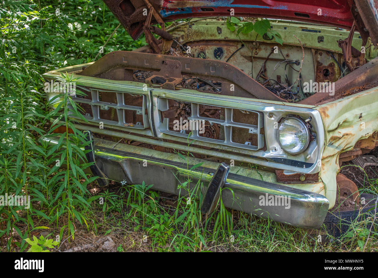 Un vecchio camioncino abbandonato da una strada rurale si è progressivamente recuperato dalla natura. Foto Stock