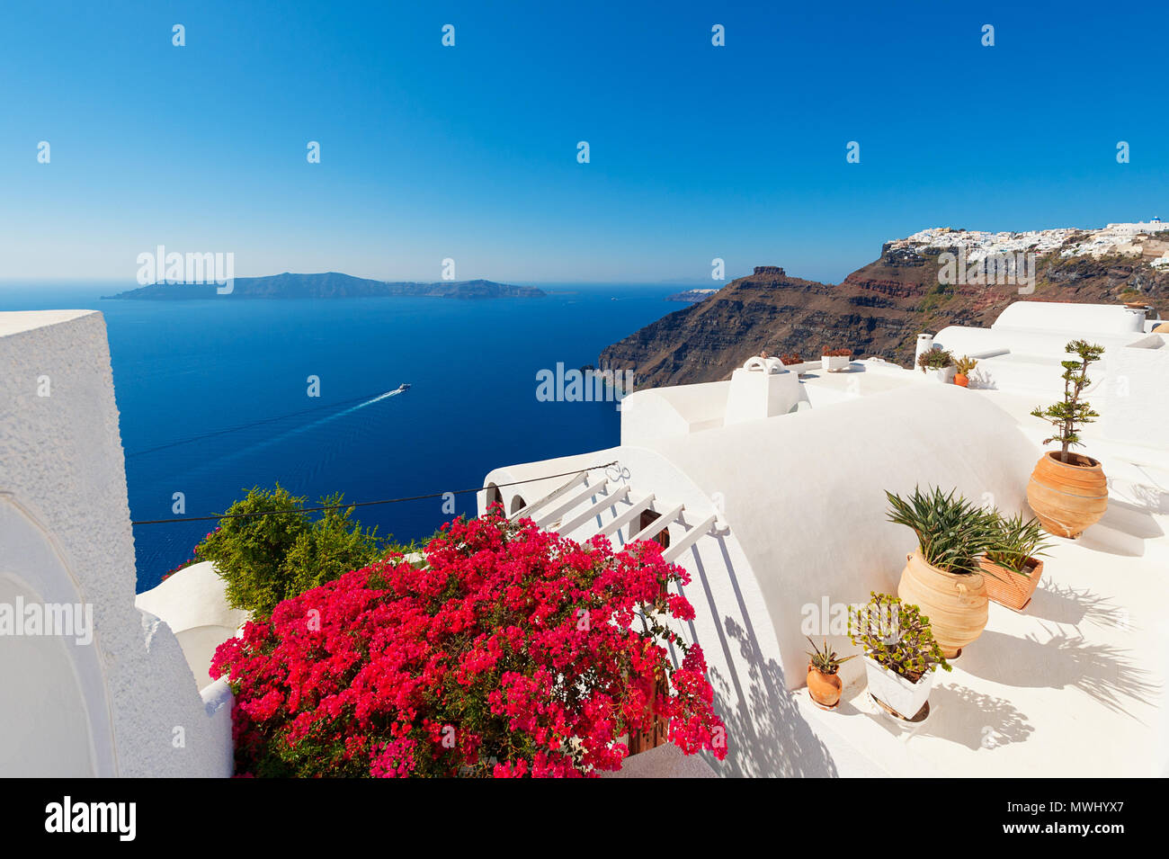 Tetto con fiori e piante a Santorini, Cicladi, Grecia Foto Stock