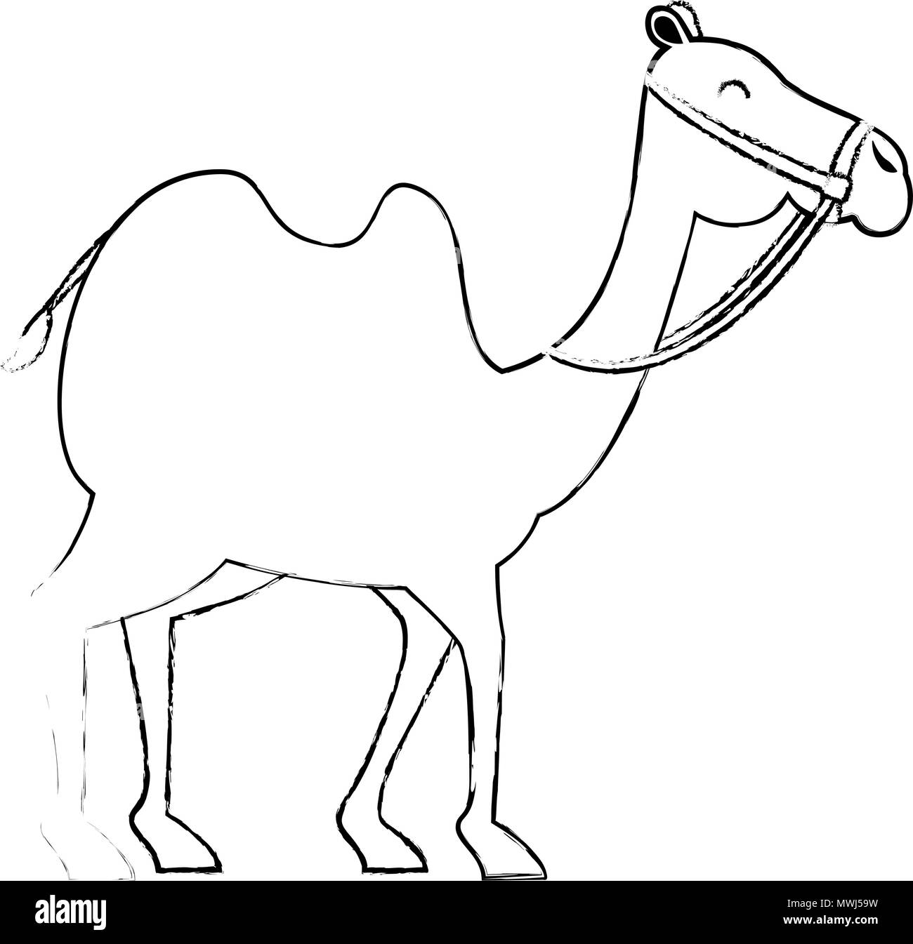 Camel i trasporti di animali arabe Illustrazione Vettoriale