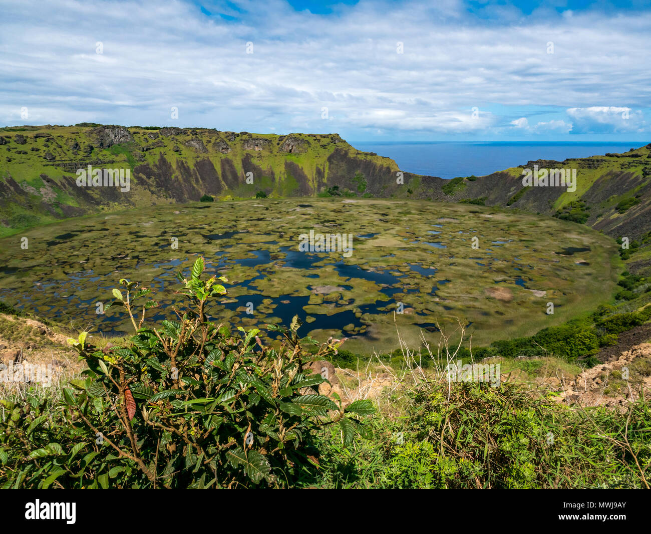 Crater Rim, Rano Kau vulcano estinto, con zona umida nel cratere e orizzonte dell'oceano, l'isola di pasqua, Rapa Nui, Cile Foto Stock