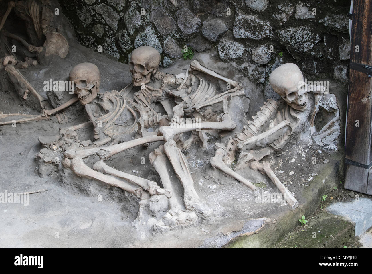 Vista di conserve di scheletri di vittime del Vesuvio del 79 D.C. eruzione, in rovina la città romana di Ercolano, Italia Foto Stock