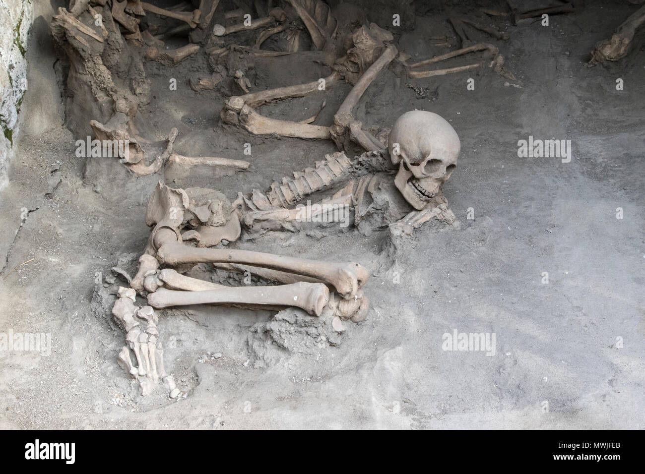 Vista di conserve di scheletri di vittime del Vesuvio del 79 D.C. eruzione, in rovina la città romana di Ercolano, Italia Foto Stock