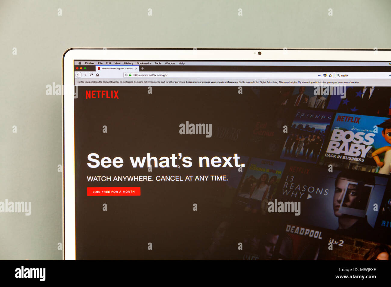 Homepage di Netflix, Netflix.com, Netflix servizio streaming di Netflix, pellicole, Netflix, sullo schermo il logo di Netflix, filmati Netflix & mostra online online Netflix Foto Stock