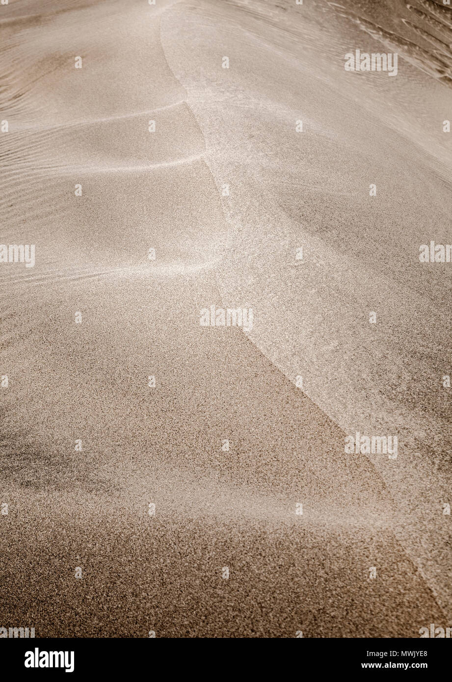 Sabbia e vento motivi sulla superficie di dune. Configurazione è formata da due tipi di granuli di sabbia - dark, piccolo e leggero e di dimensioni maggiori e più leggero di uno più pesanti Foto Stock
