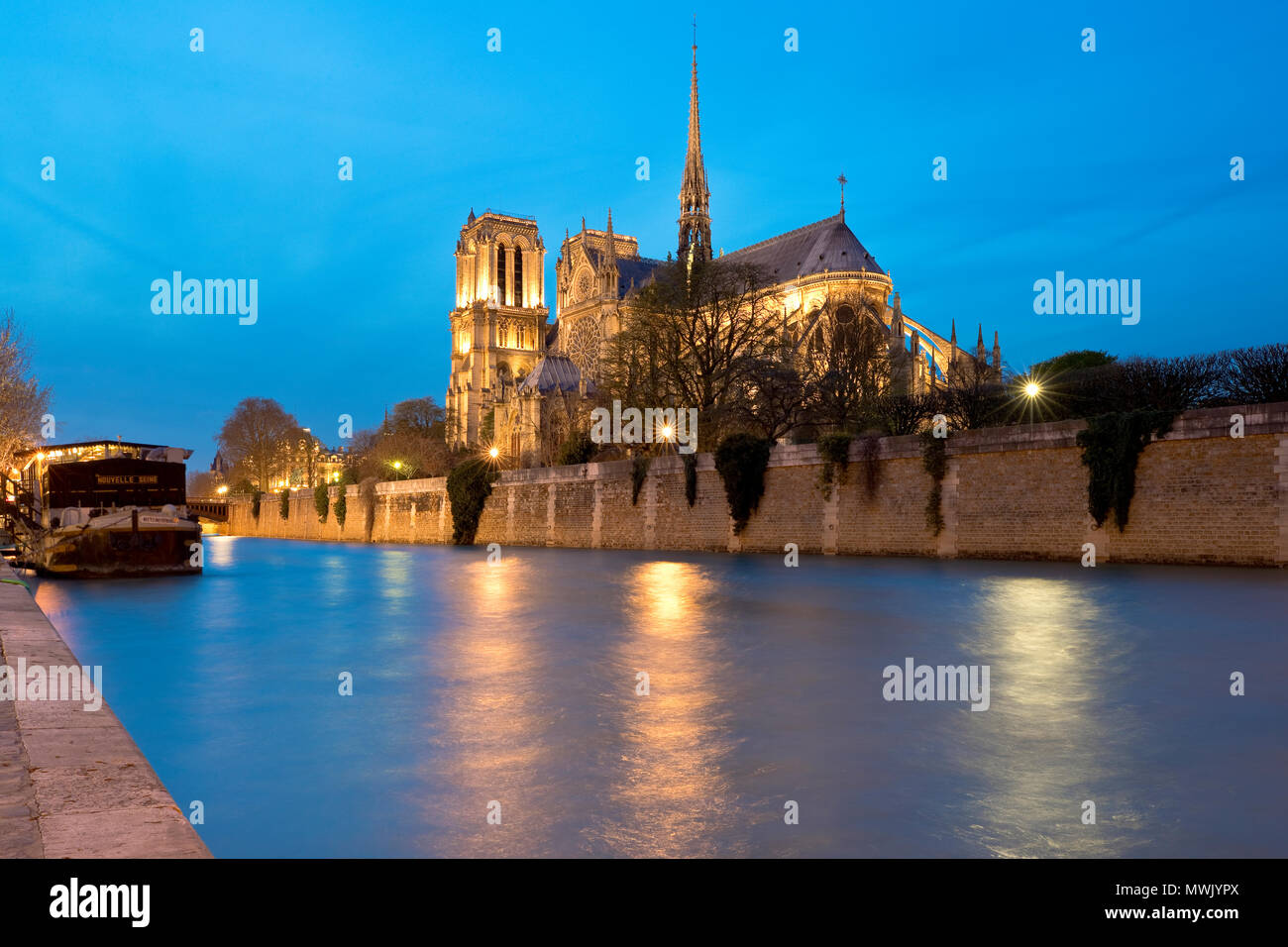 Notre Dame de Paris, Île de la Cité, Francia Foto Stock