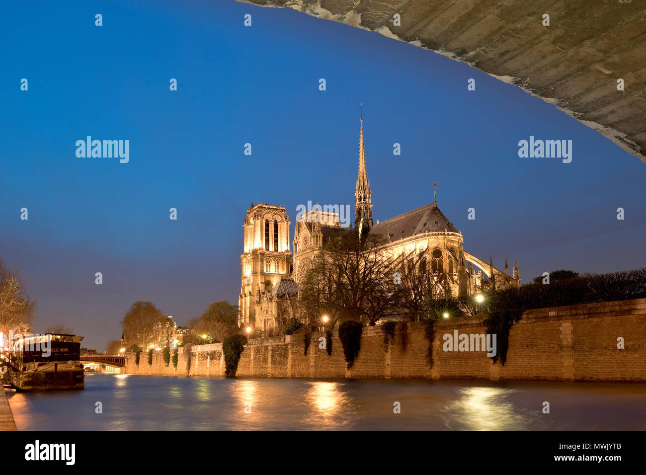 Notre Dame de Paris, Île de la Cité, Francia Foto Stock