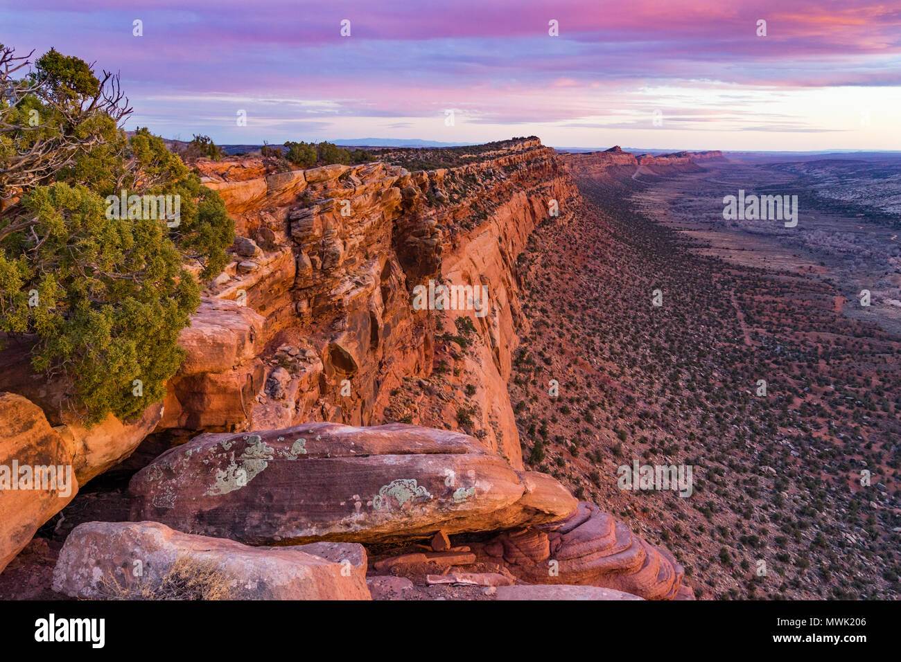 Vista verso sud lungo il Comb Ridge rupe dalla parte superiore nella luce del tramonto, pettine Lavare sotto, a nord dell'Autostrada 95 ovest di Blanding, Utah e nord di Bluff, USA Utah Foto Stock