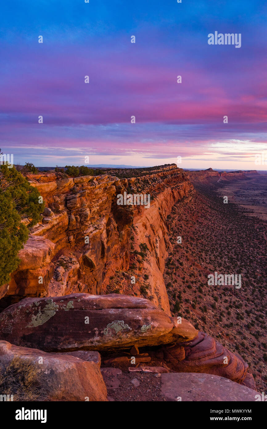 Vista verso sud lungo il Comb Ridge rupe dalla parte superiore nella luce del tramonto, pettine Lavare sotto, a nord dell'Autostrada 95 ovest di Blanding, Utah e nord di Bluff, USA Utah Foto Stock