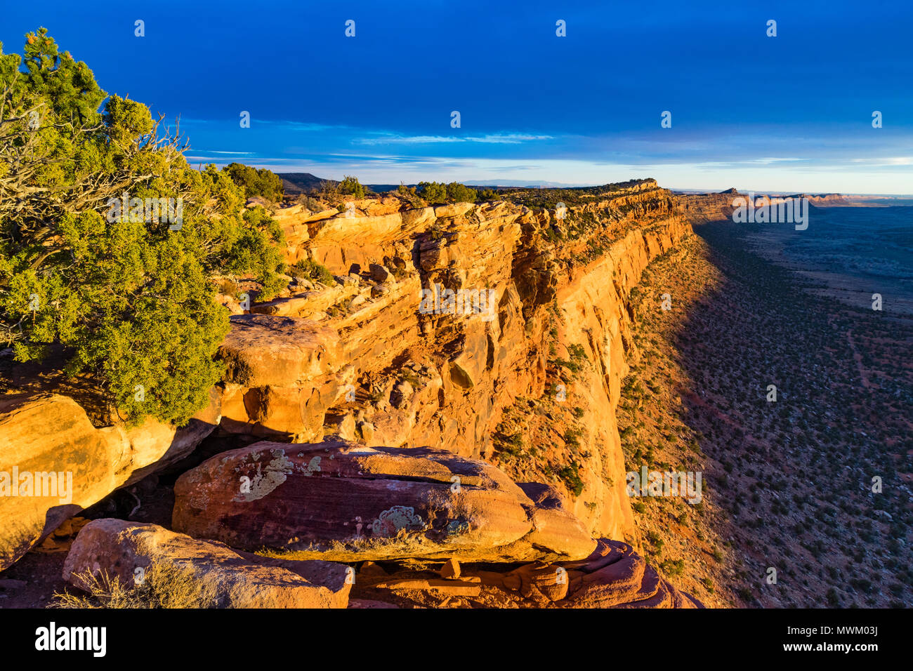 Vista verso sud lungo il Comb Ridge rupe dalla parte superiore nella luce del tramonto, pettine Lavare sotto, a nord dell'Autostrada 95 ovest di Blanding, Utah e nord di Bluff, USA Utah Foto Stock