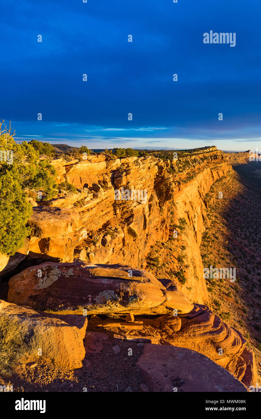 Vista verso sud lungo il Comb Ridge rupe dalla parte superiore nella luce del tramonto, pettine Lavare sotto, a nord dell'Autostrada 95 ovest di Blanding, Utah e nord di Bluff, USA Utah Foto Stock