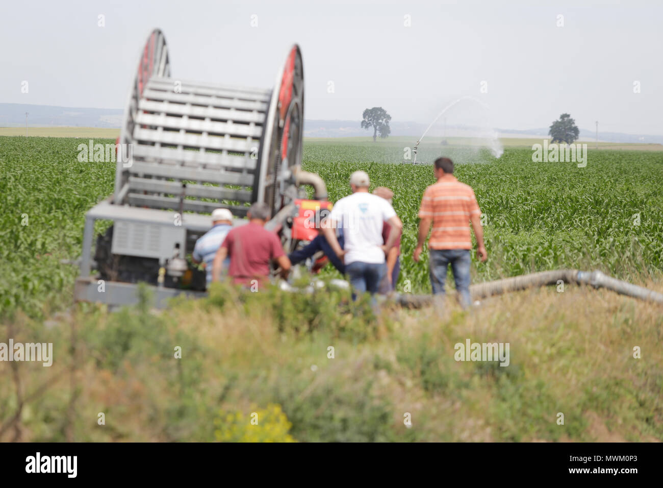 Irroratore irrigare le colture nella parte orientale della Romania Foto Stock