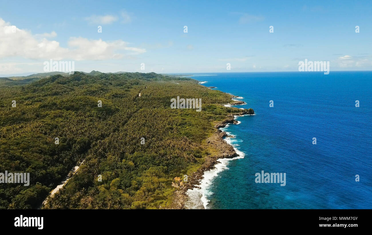 Costa dell'isola tropicale Siargao con foresta pluviale su uno sfondo di oceano con grandi onde. Vista aerea: mare con scogli, la spiaggia e le onde. Seascape: sky, nuvole oceano. Filippine. Concetto di viaggio. Foto Stock