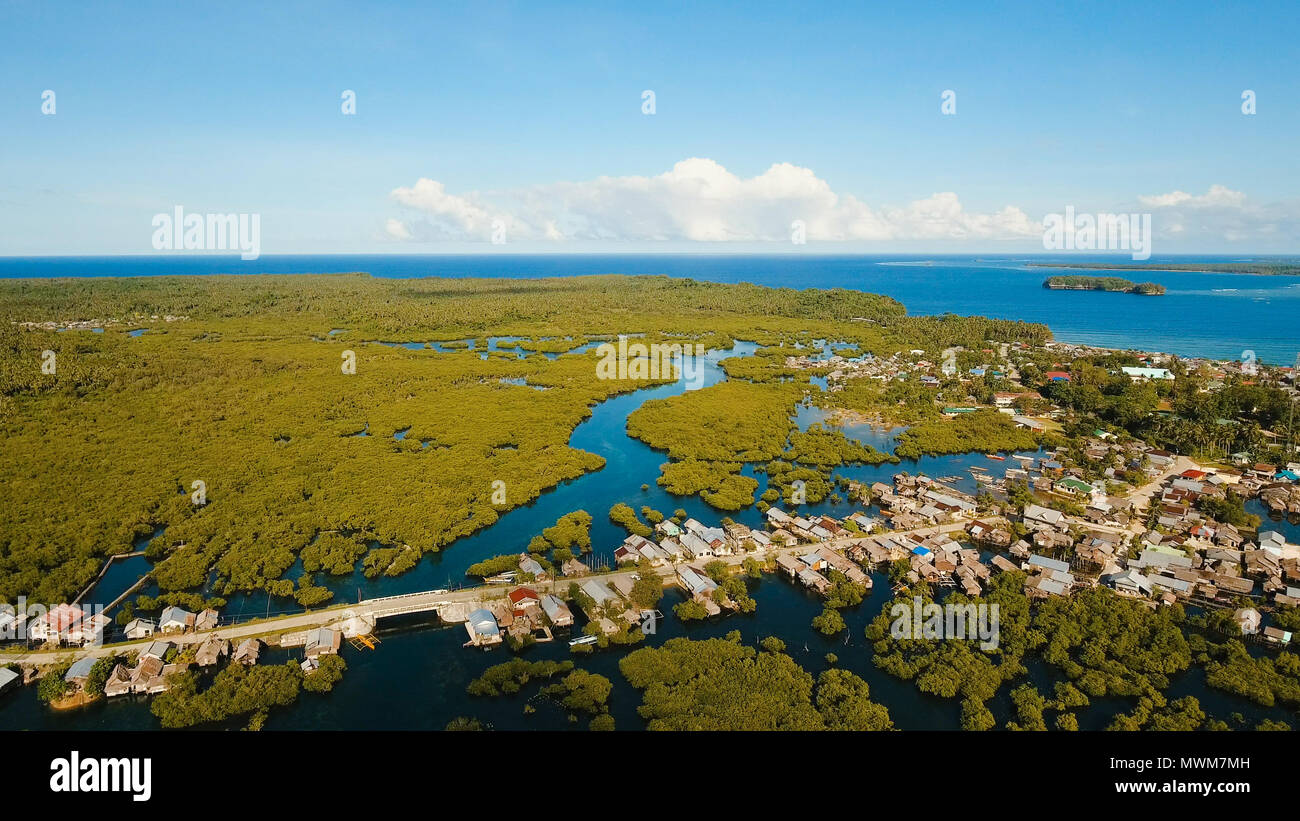 Vista aerea della foresta di mangrovie e il fiume sulla Siargao island. Giungle di mangrovie, alberi, river. Paesaggio di mangrovie. Filippine. Foto Stock
