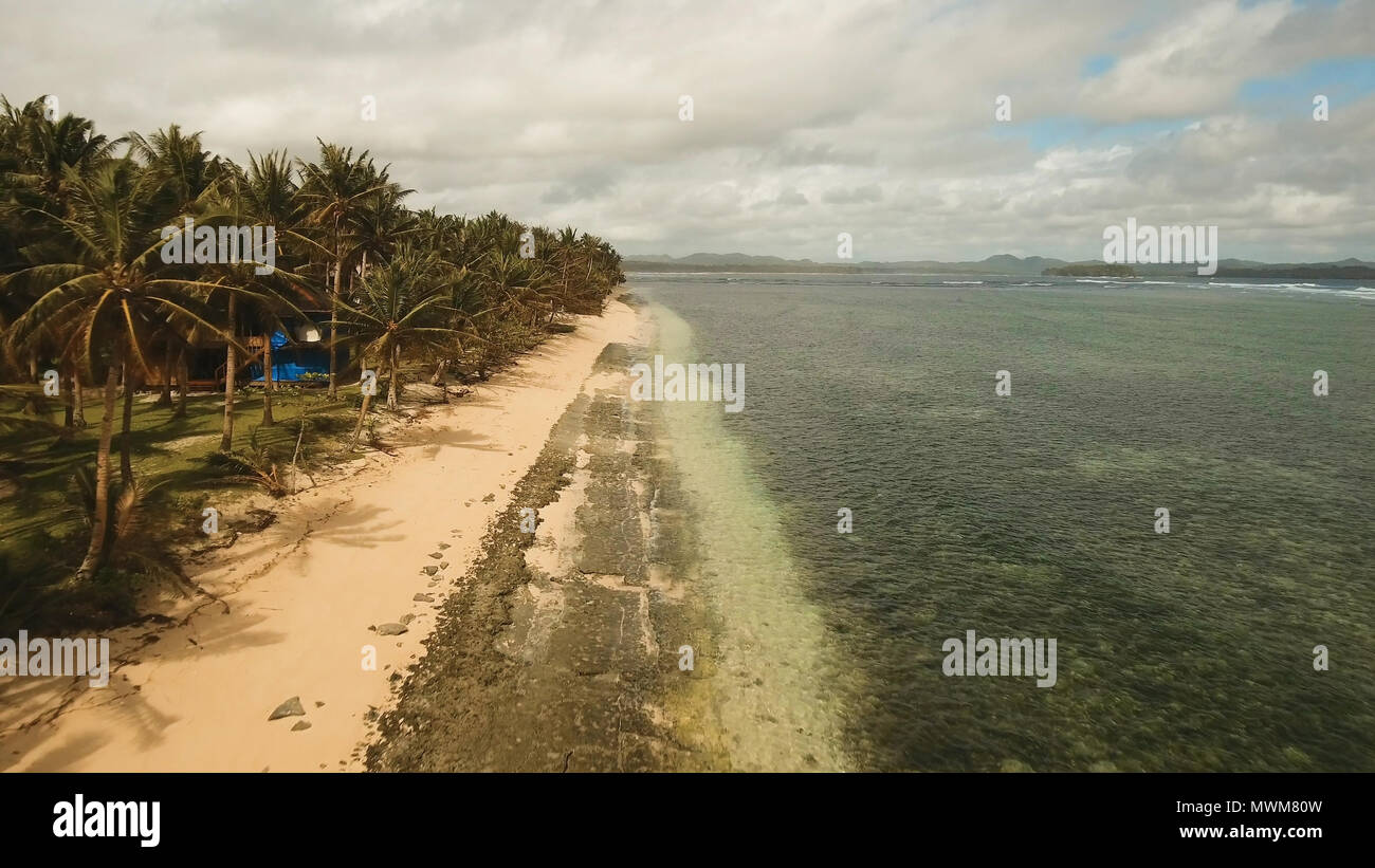Vista aerea della spiaggia tropicale sull'isola Siargao, Filippine. Bellissima isola tropicale con spiaggia di sabbia, palme. Paesaggio tropicale: spiaggia con palme. Seascape: oceano e cielo, mare . Filippine. Concetto di viaggio. Foto Stock