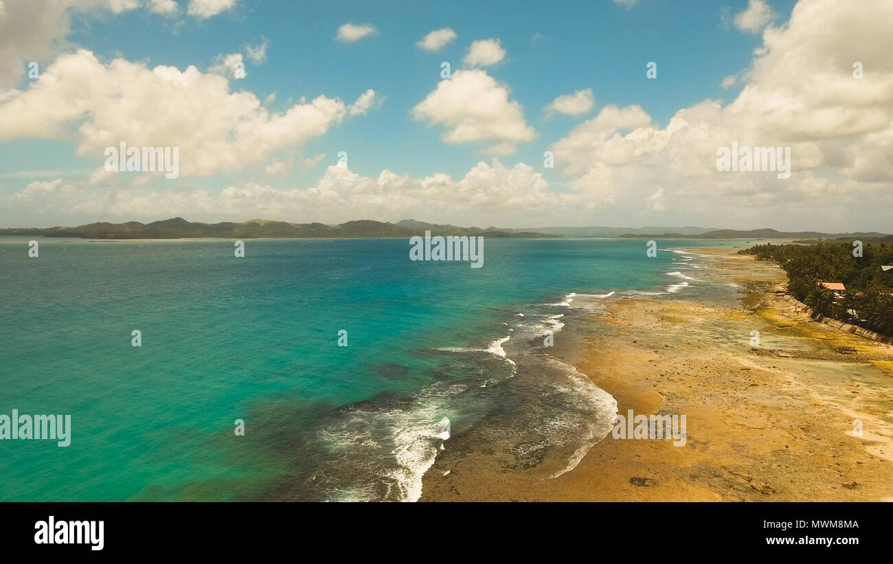 Vista aerea della spiaggia tropicale sull'isola Siargao, Filippine. Bellissima isola tropicale con spiaggia di sabbia, palme. Paesaggio tropicale: spiaggia con palme. Seascape: oceano e cielo, mare . Filippine. Foto Stock
