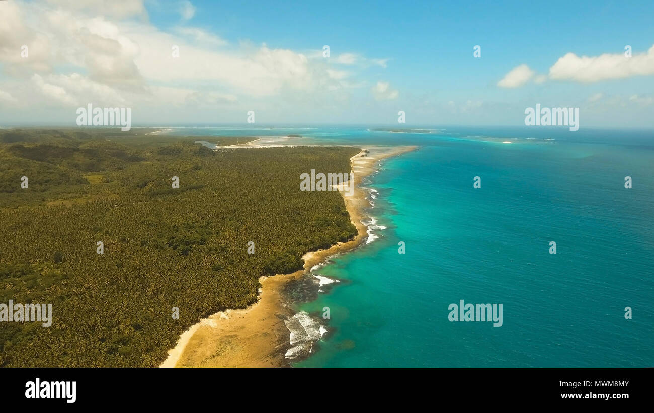 Vista aerea della spiaggia tropicale sull'isola Siargao, Filippine. Bellissima isola tropicale con spiaggia di sabbia, palme. Paesaggio tropicale: spiaggia con palme. Seascape: oceano e cielo, mare . Filippine. Foto Stock