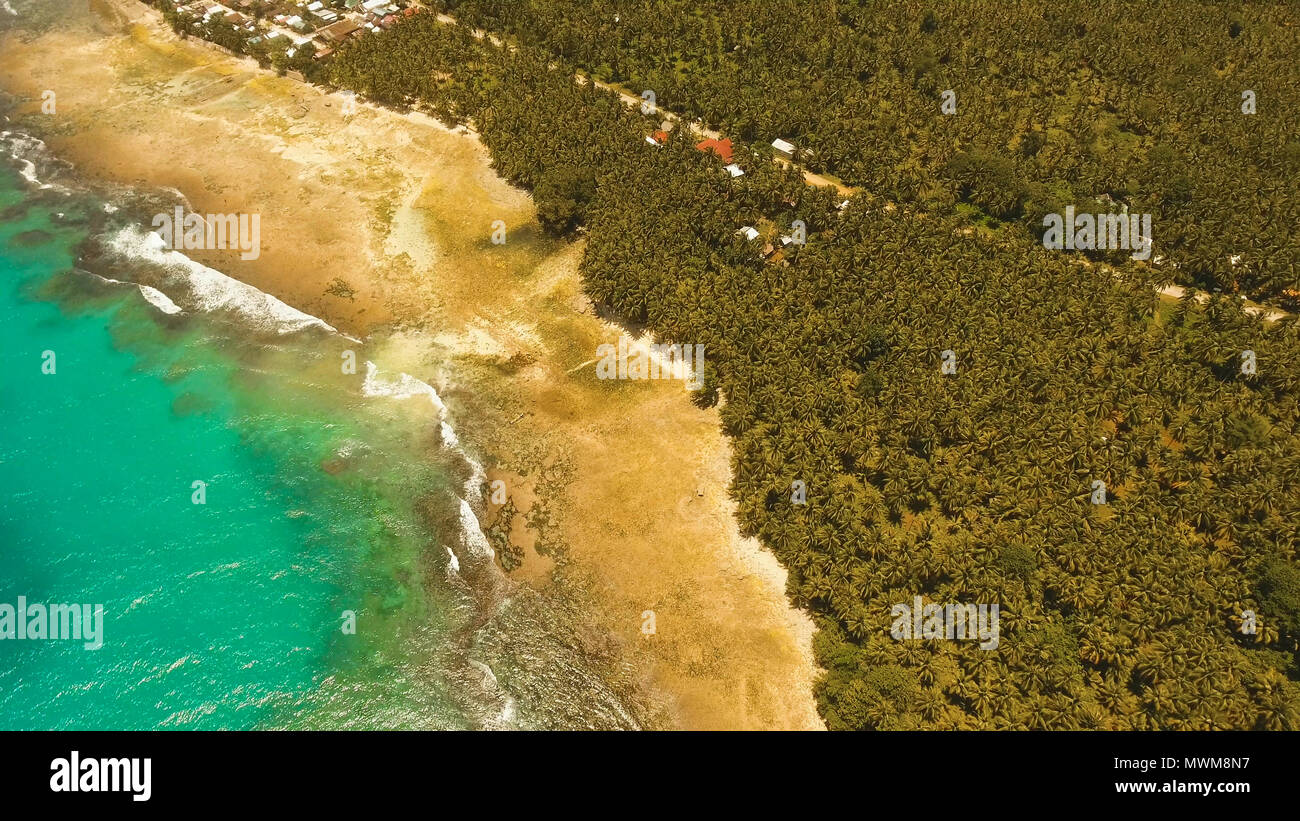Vista aerea della spiaggia tropicale sull'isola Siargao, Filippine. Bellissima isola tropicale con spiaggia di sabbia, palme. Paesaggio tropicale: spiaggia con palme. Seascape: oceano e cielo, mare . Filippine. Foto Stock
