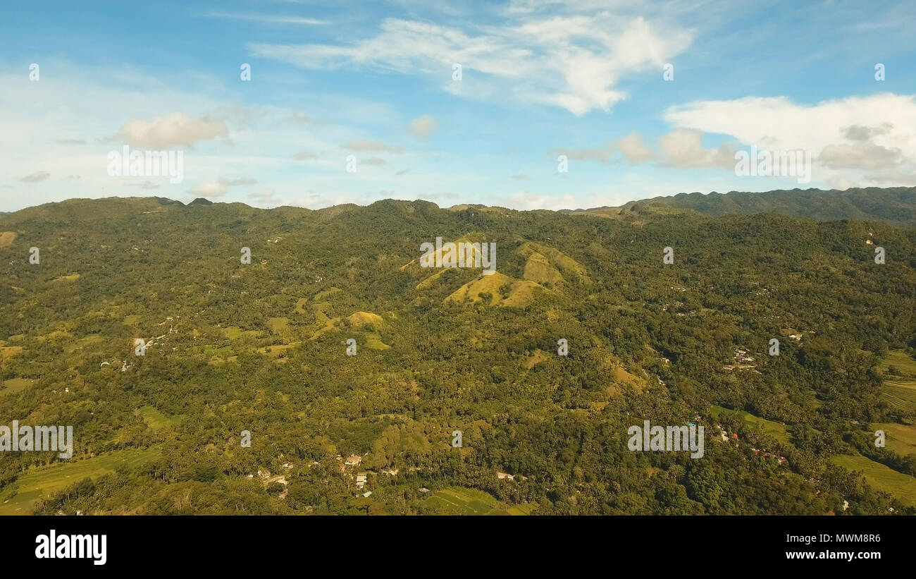 La foresta pluviale, giungla ricoperti di vegetazione verde e alberi sull'isola tropicale, paesaggio. Vista aerea: montagne e colline con bosco selvatico. Collina nella foresta pluviale e jungle. Filippine, Siargao. Foto Stock