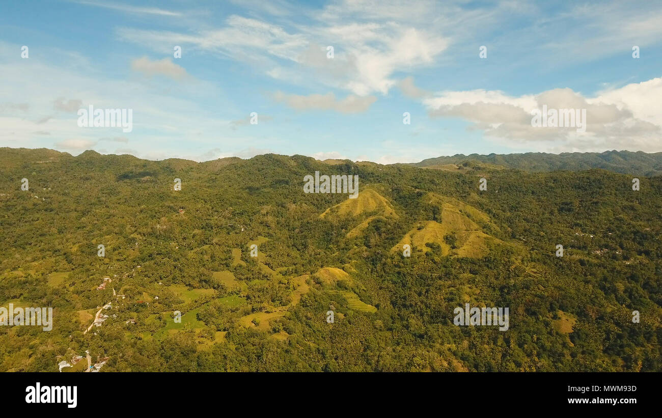 La foresta pluviale, giungla ricoperti di vegetazione verde e alberi sull'isola tropicale, paesaggio. Vista aerea: montagne e colline con bosco selvatico. Collina nella foresta pluviale e jungle. Filippine, Siargao. Foto Stock