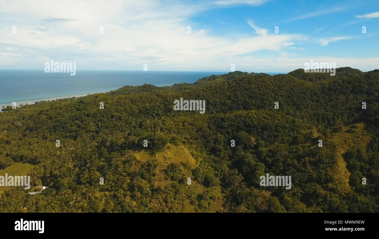 La foresta pluviale, giungla ricoperti di vegetazione verde e alberi sull'isola tropicale, paesaggio. Vista aerea: montagne e colline con bosco selvatico. Collina nella foresta pluviale e jungle. Filippine, Siargao. Foto Stock