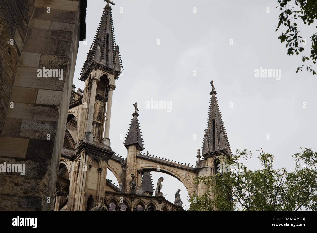 Fotografia a colori della facciata posteriore della cattedrale di Reims in Francia. Demoni, sculture e archi in pietra. Il vetro macchiato. Cattedrale dei re di Francia Foto Stock