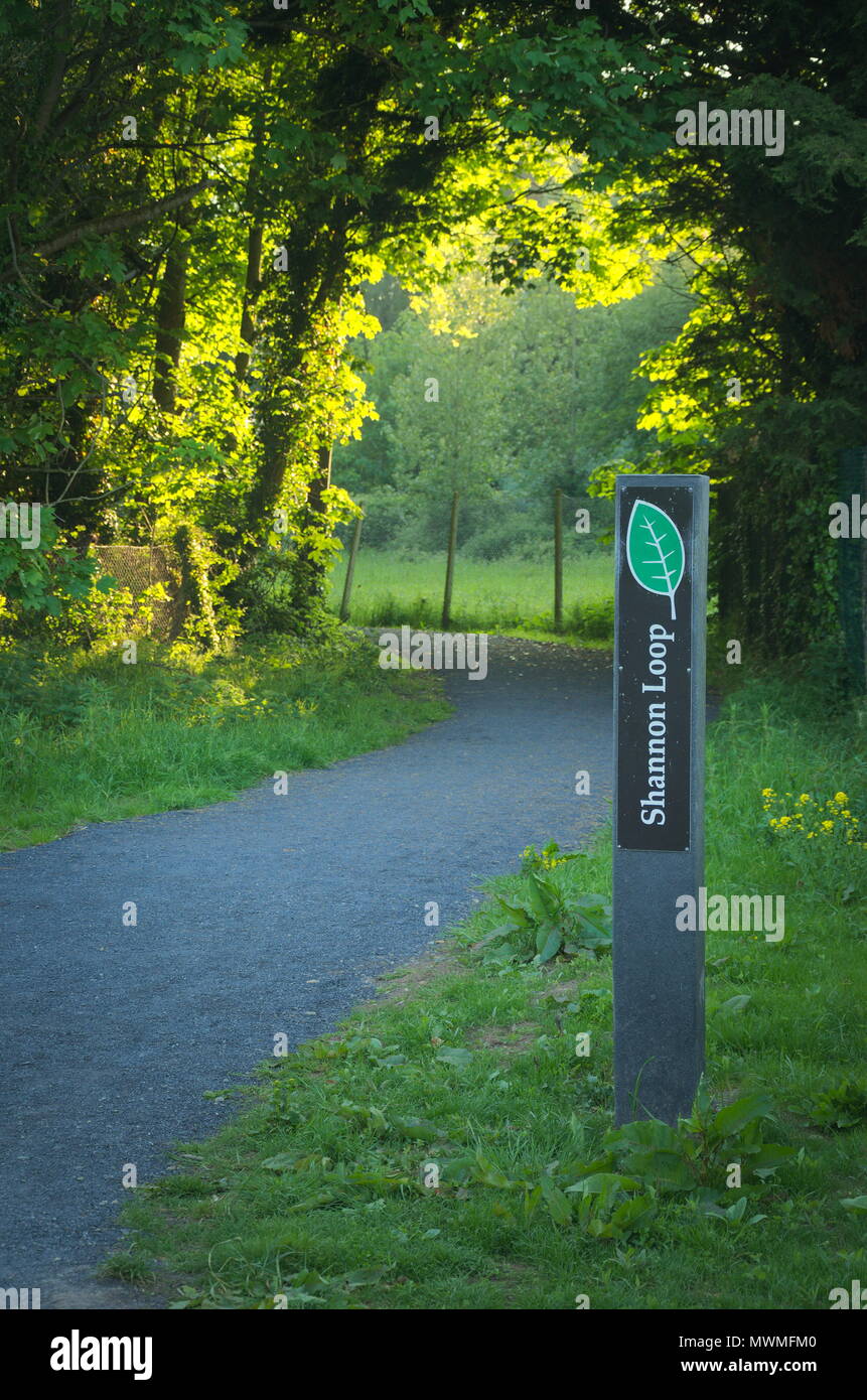Loop di Shannon in Clare Irlanda Foto Stock