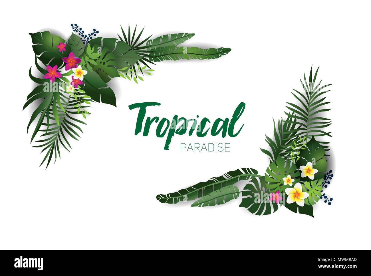 Natura tropicale decor Illustrazione Vettoriale