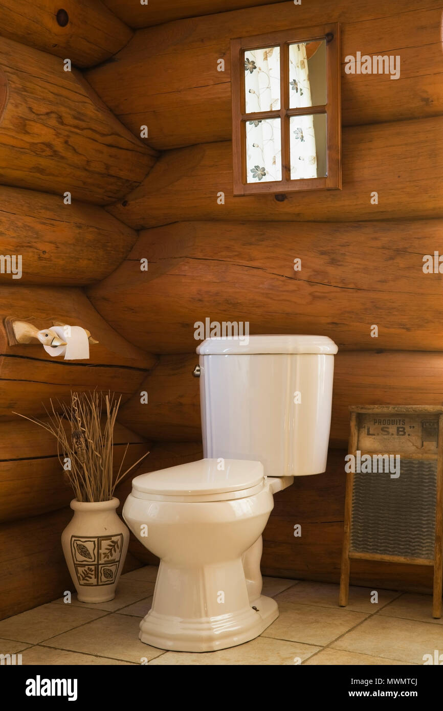 Servizi igienici in un angolo della stanza da bagno principale e all'interno di un cottage in stile casa di registro Foto Stock