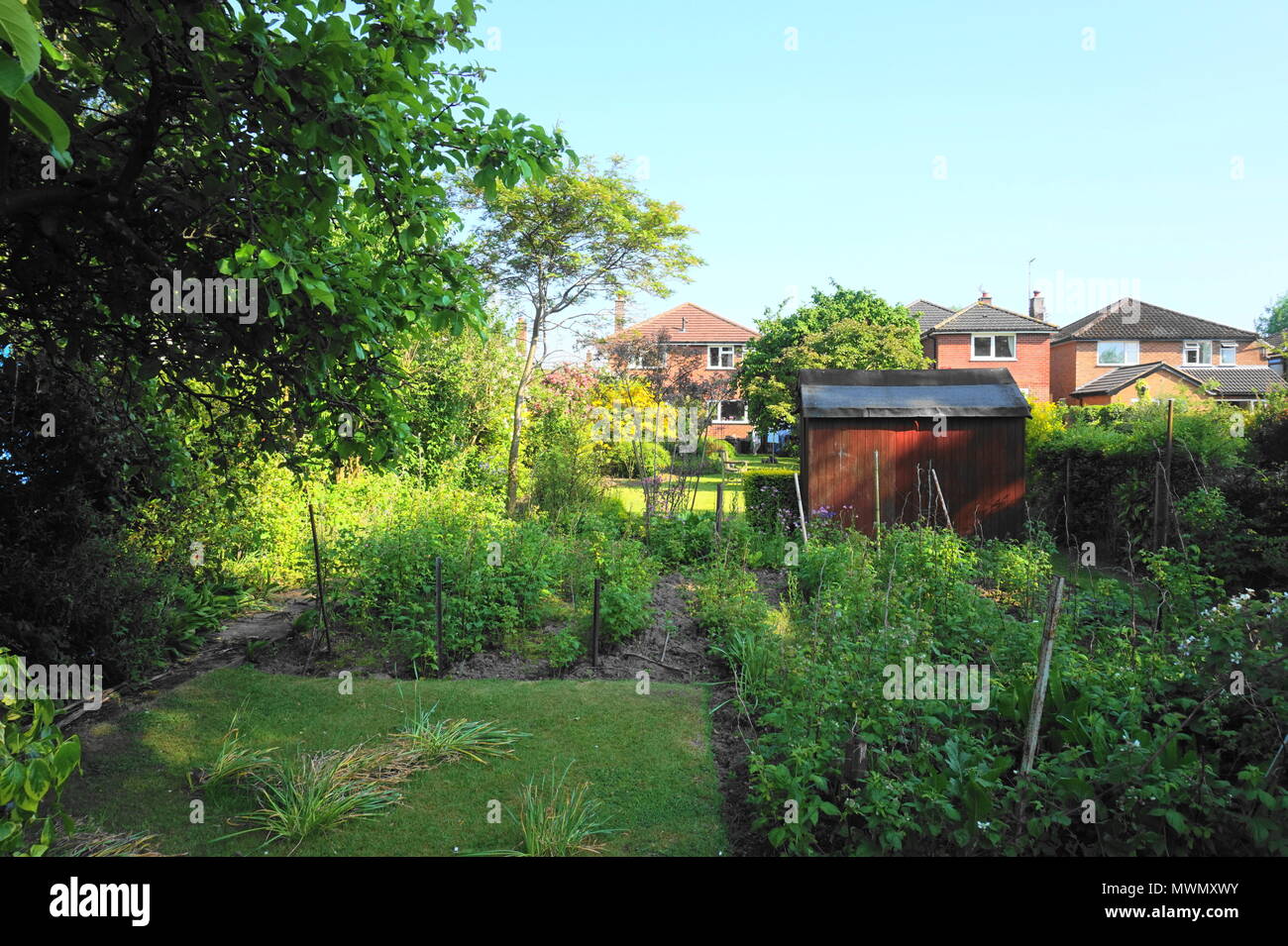 Tipico giardino britannici nel Cheshire Foto Stock