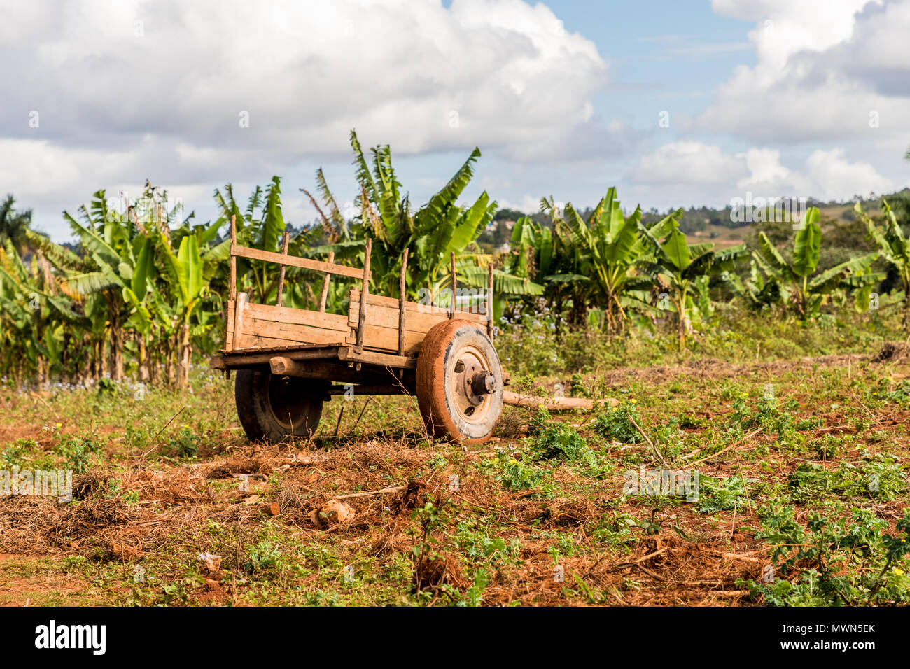 Vista di Vinales paesaggio in Cuba. Foto Stock