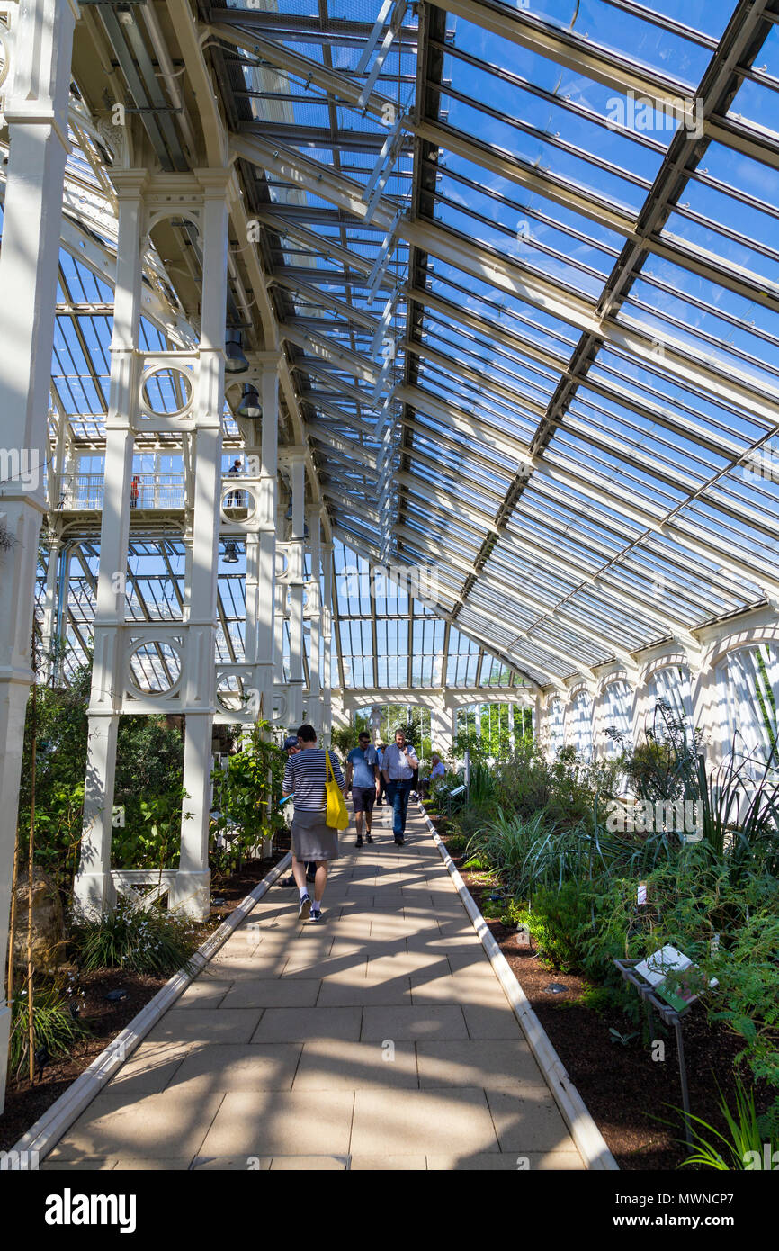 Recentemente ristrutturato e riaperto Casa Clima temperato in Kew Gardens, London, Regno Unito Foto Stock